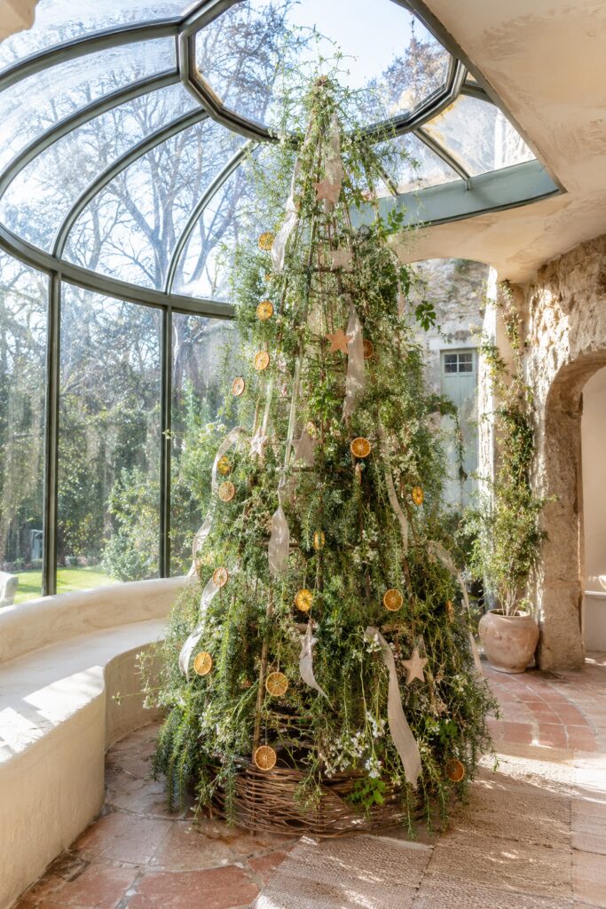 Living vine Christmas tree decorated with orange slices ivory ribbons and pale stars in a sunlit curved greenhouse with a wicker base and terracotta floor